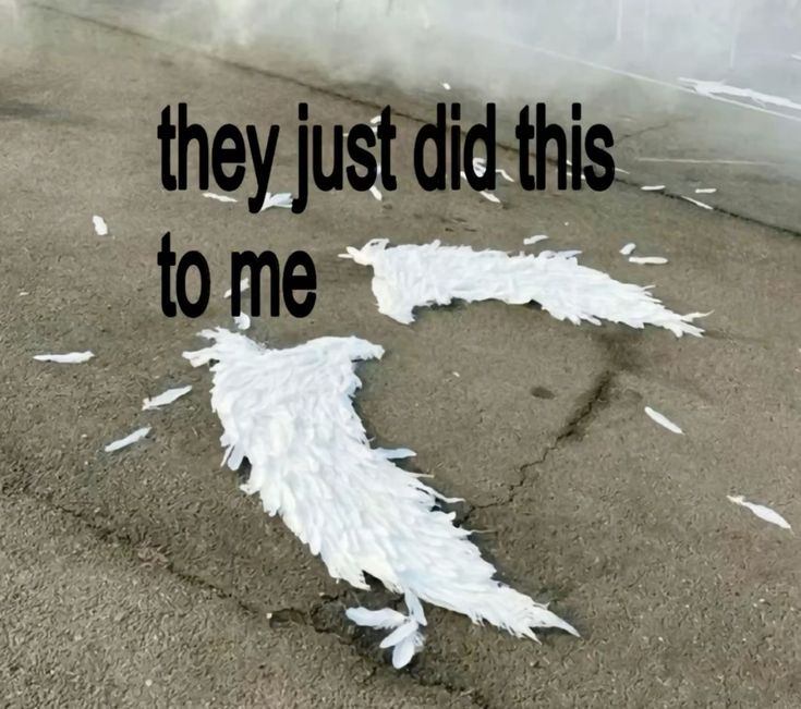 Me arrancaron las alas