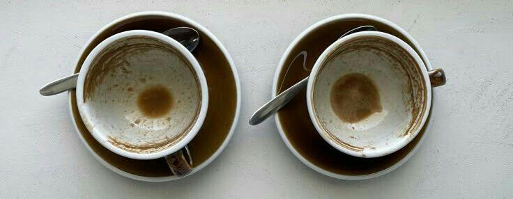 odio tomar café 