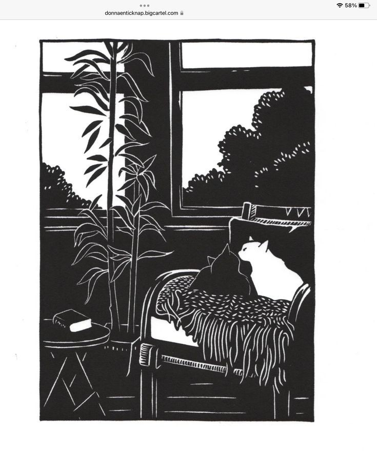 The Black Cat and the White Cat 