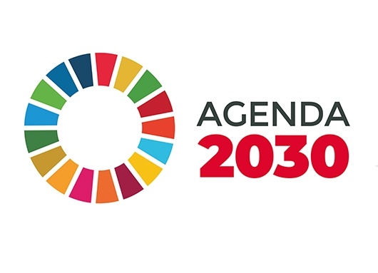 La Agenda 2030: Un Análisis Crítico