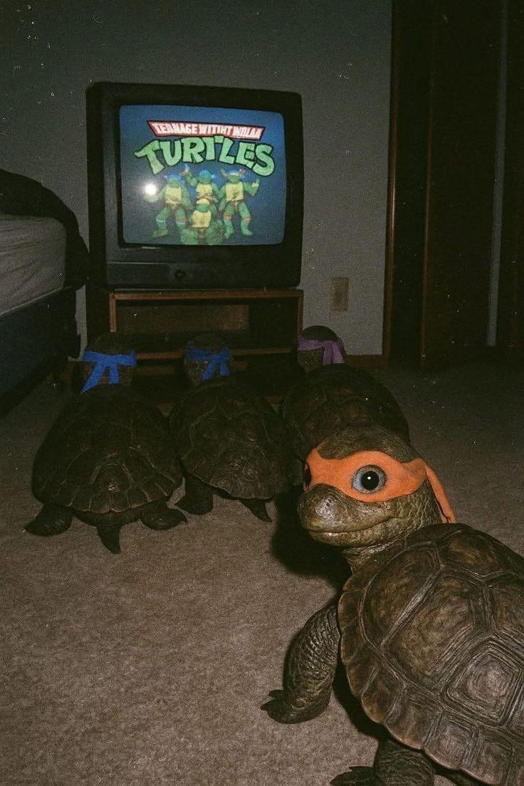 Gonzalo Riega cover img