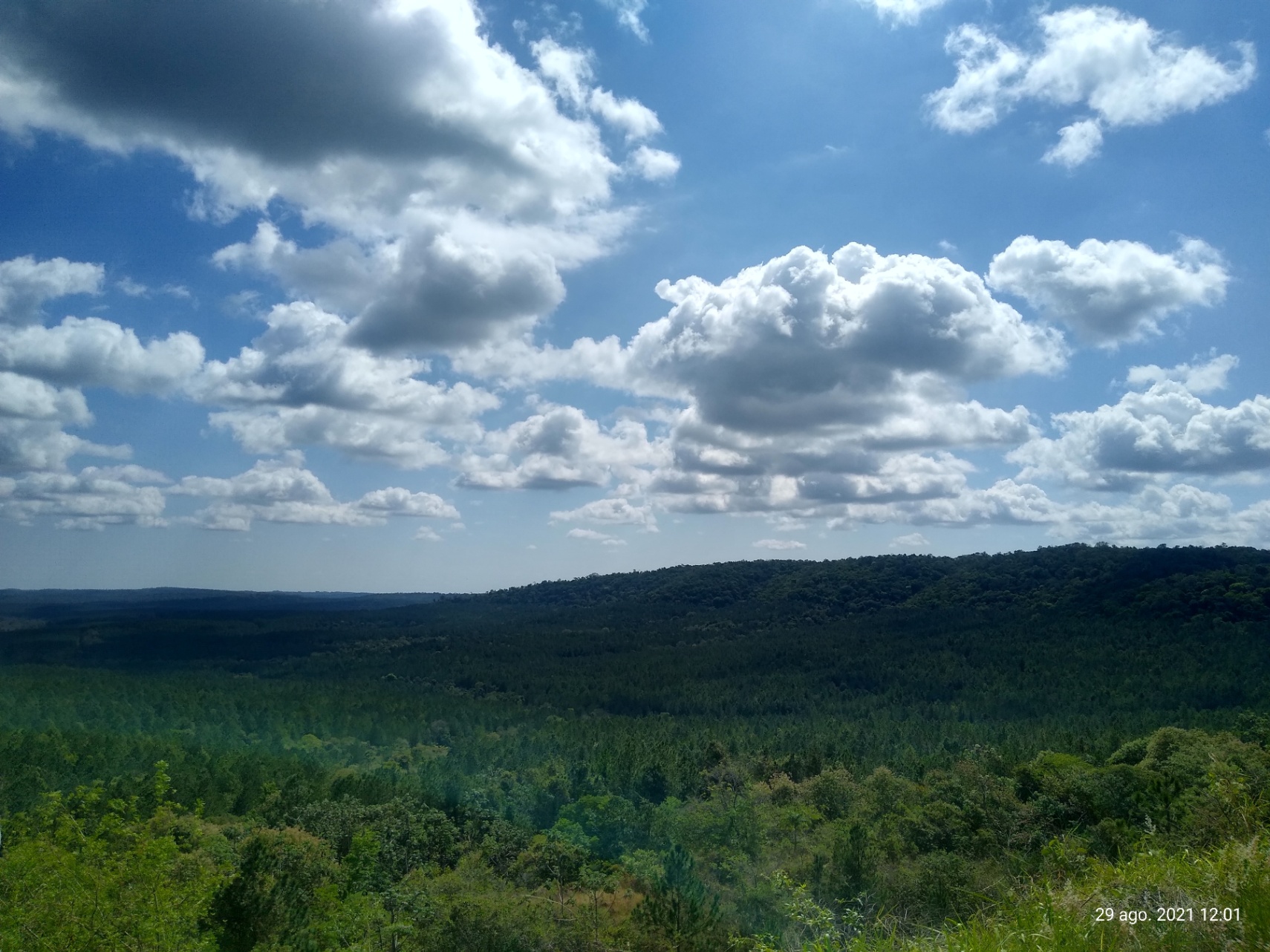 leo ⭐️ cover img