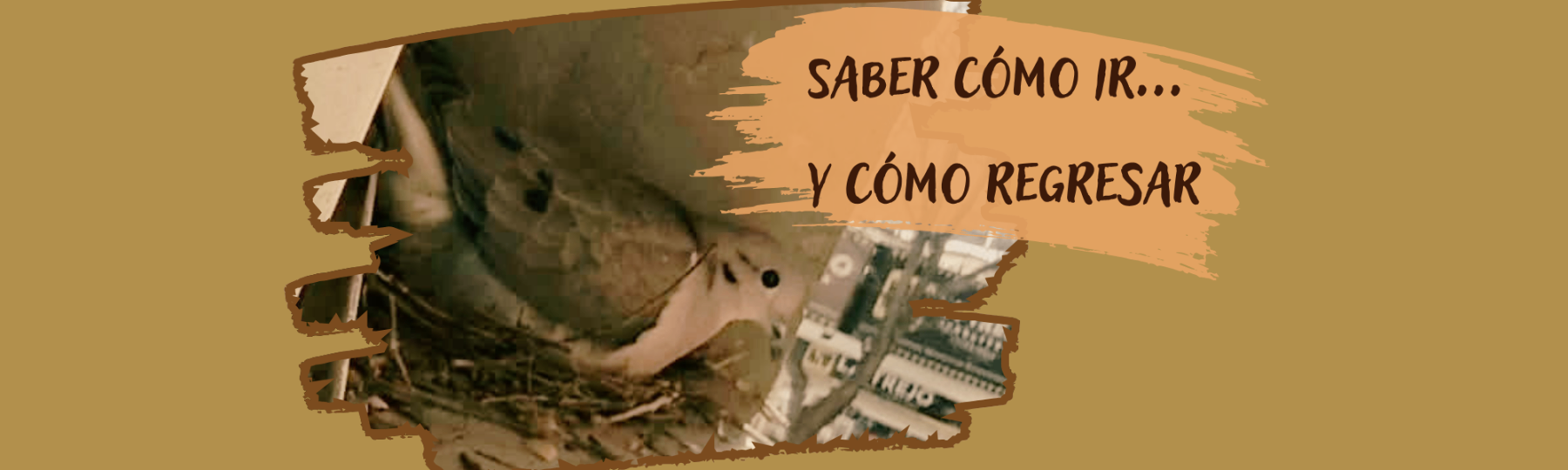 Saber cómo ir… y regresar