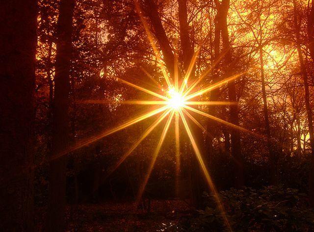 Fragmentitos de sol.