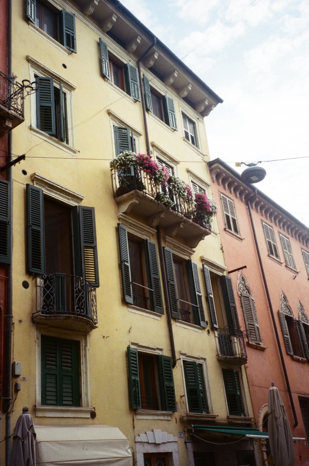 olivia lozano cover img