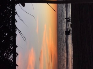 Antonio Estrada cover img