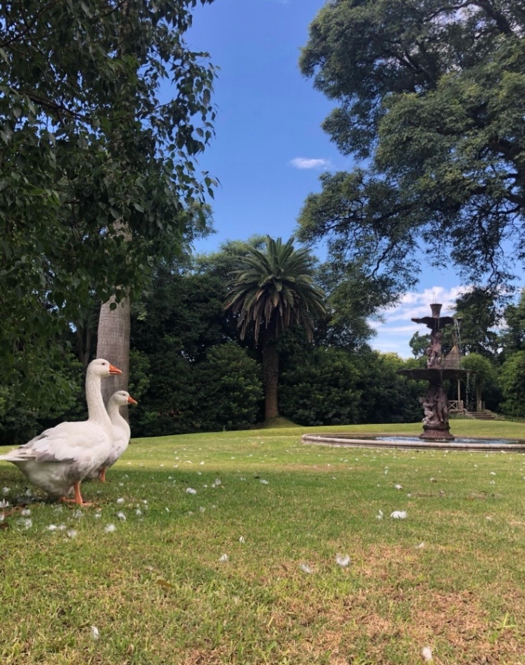 Dios no habita Buenos Aires 