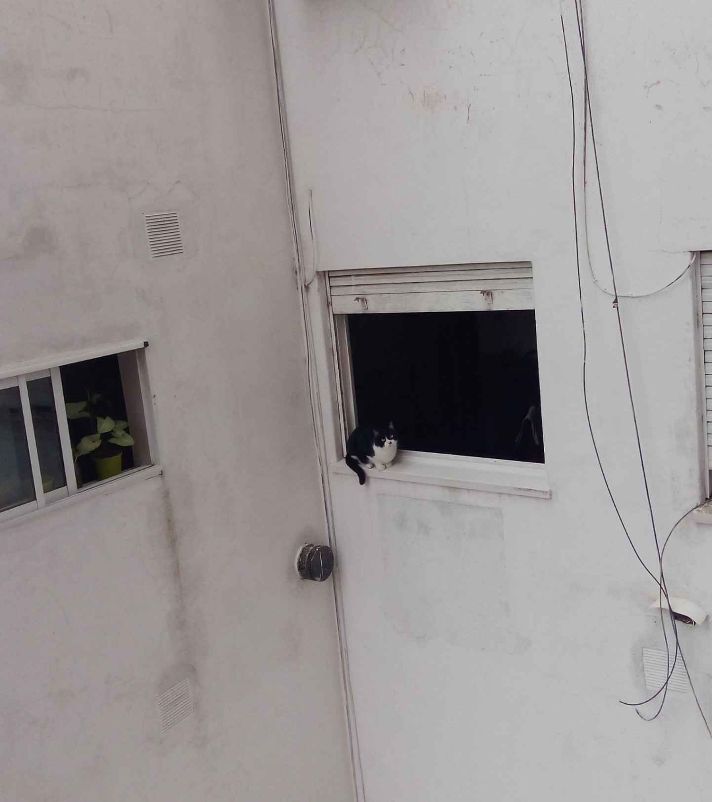 Lo que supiste ignorar