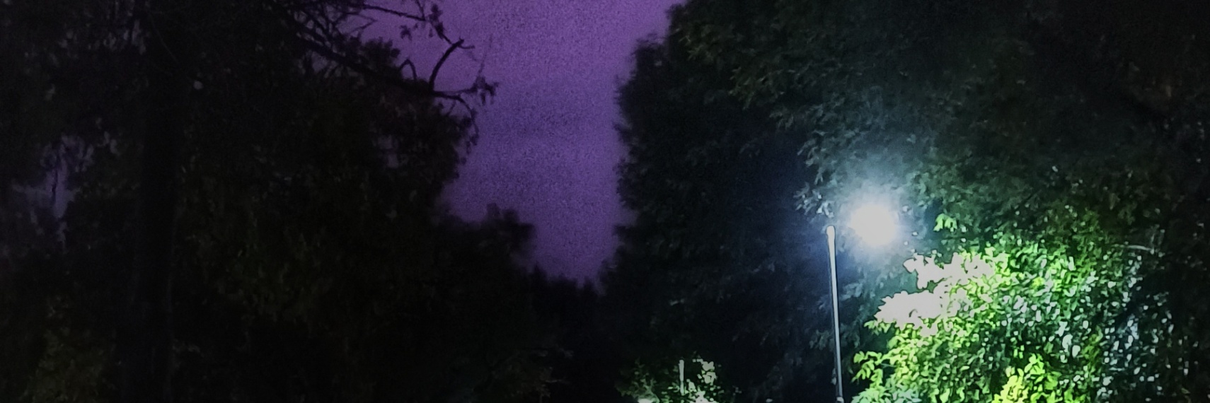  moe can feel too cover img