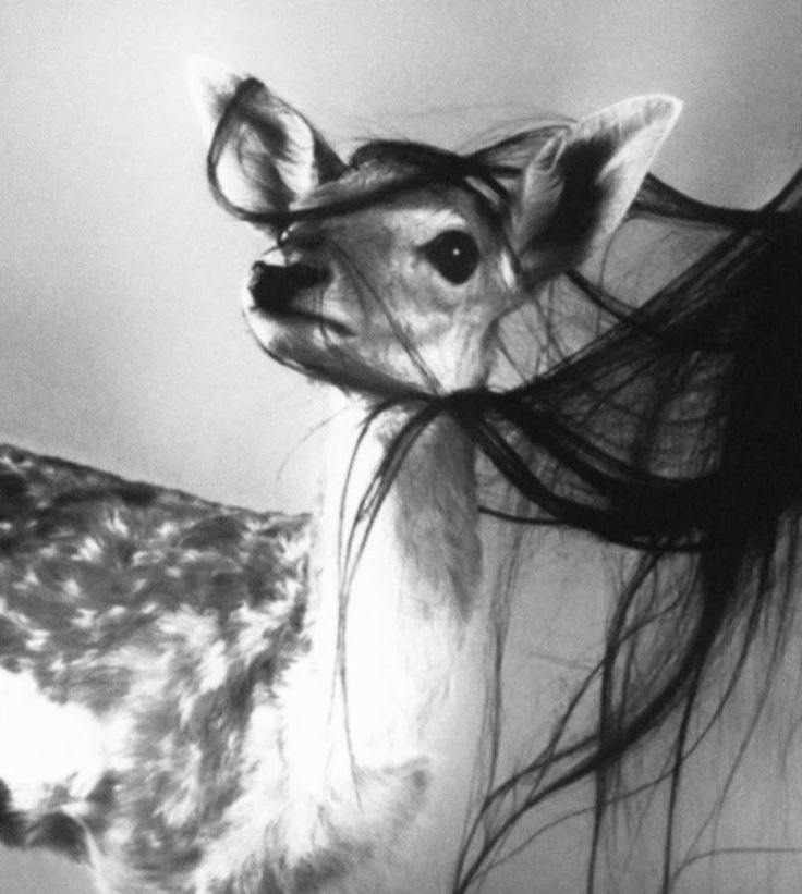 criatura que aprende tu nombre