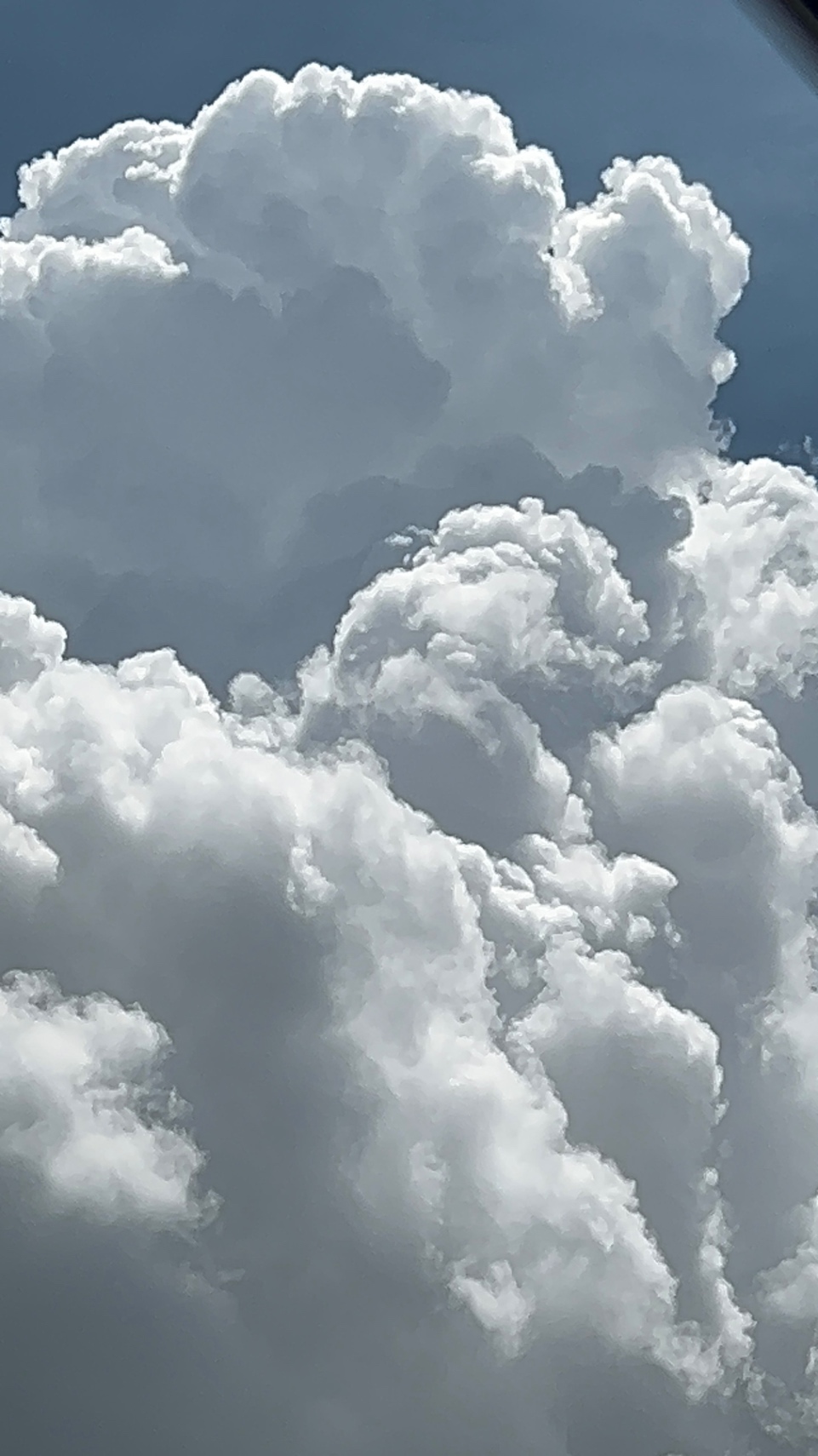 Nanita bananita  cover img