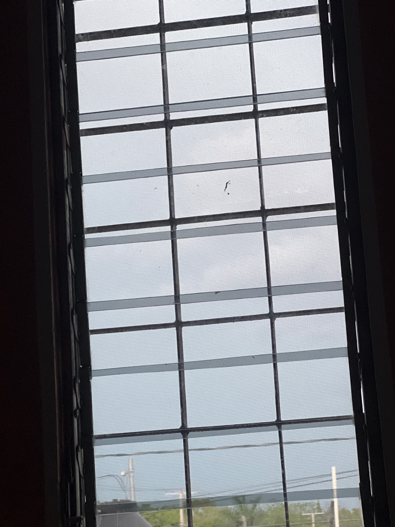 El día gris 