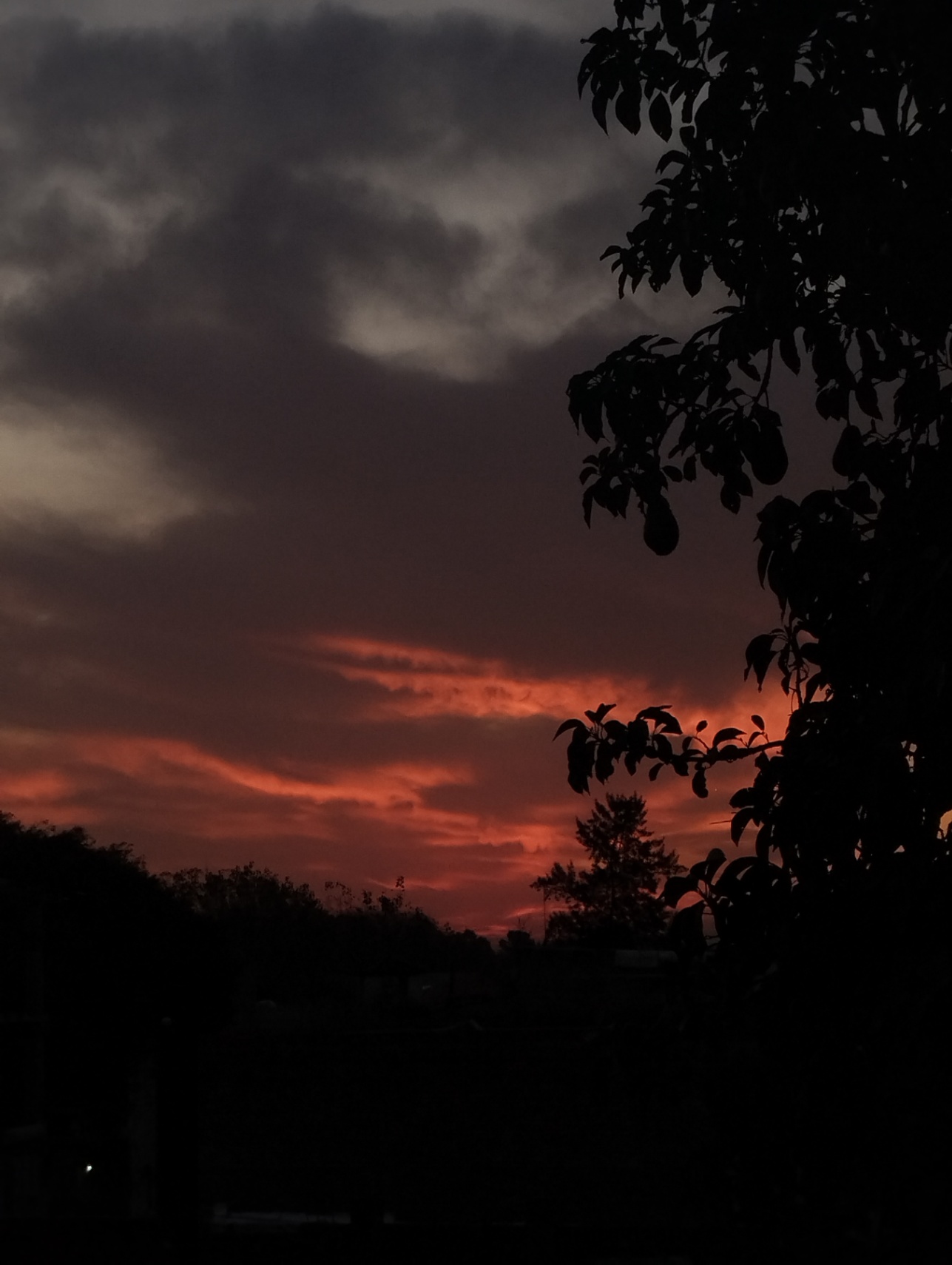 Un cuerpo habitado de por qués