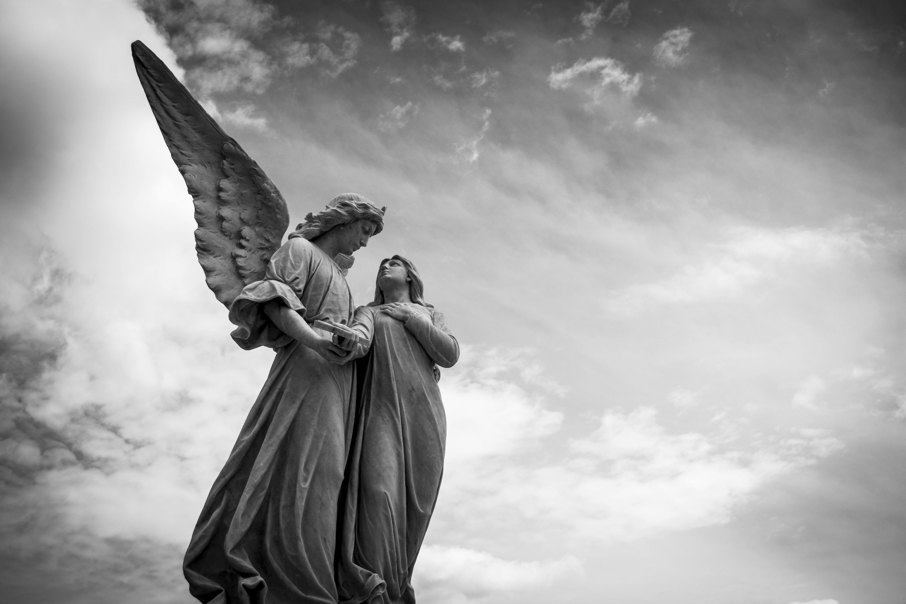 El dolor de Venus