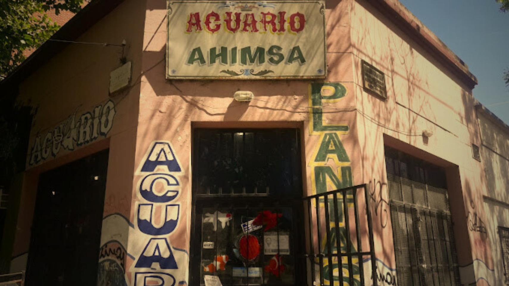 La chica del acuario Ahimsa