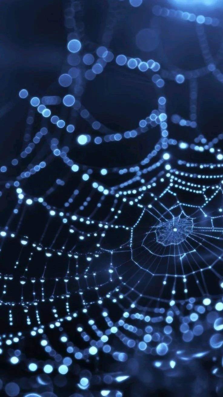 TELARAÑA 