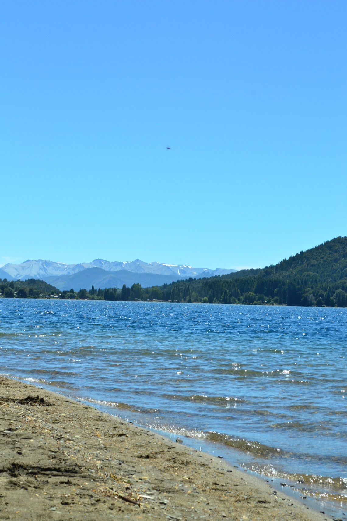 ¿Una introducción?