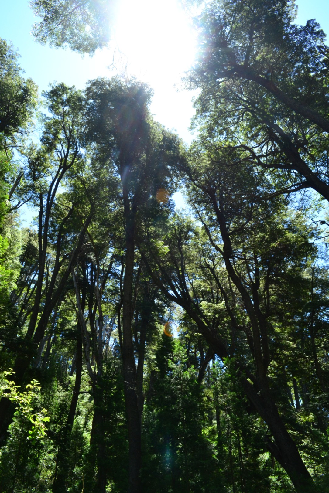 La naturaleza y los pensamientos.