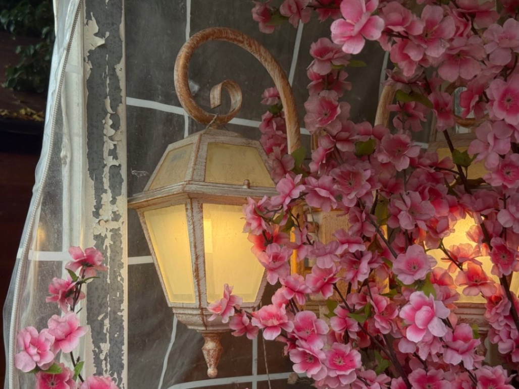 bee ㅤ𓊮 cover img