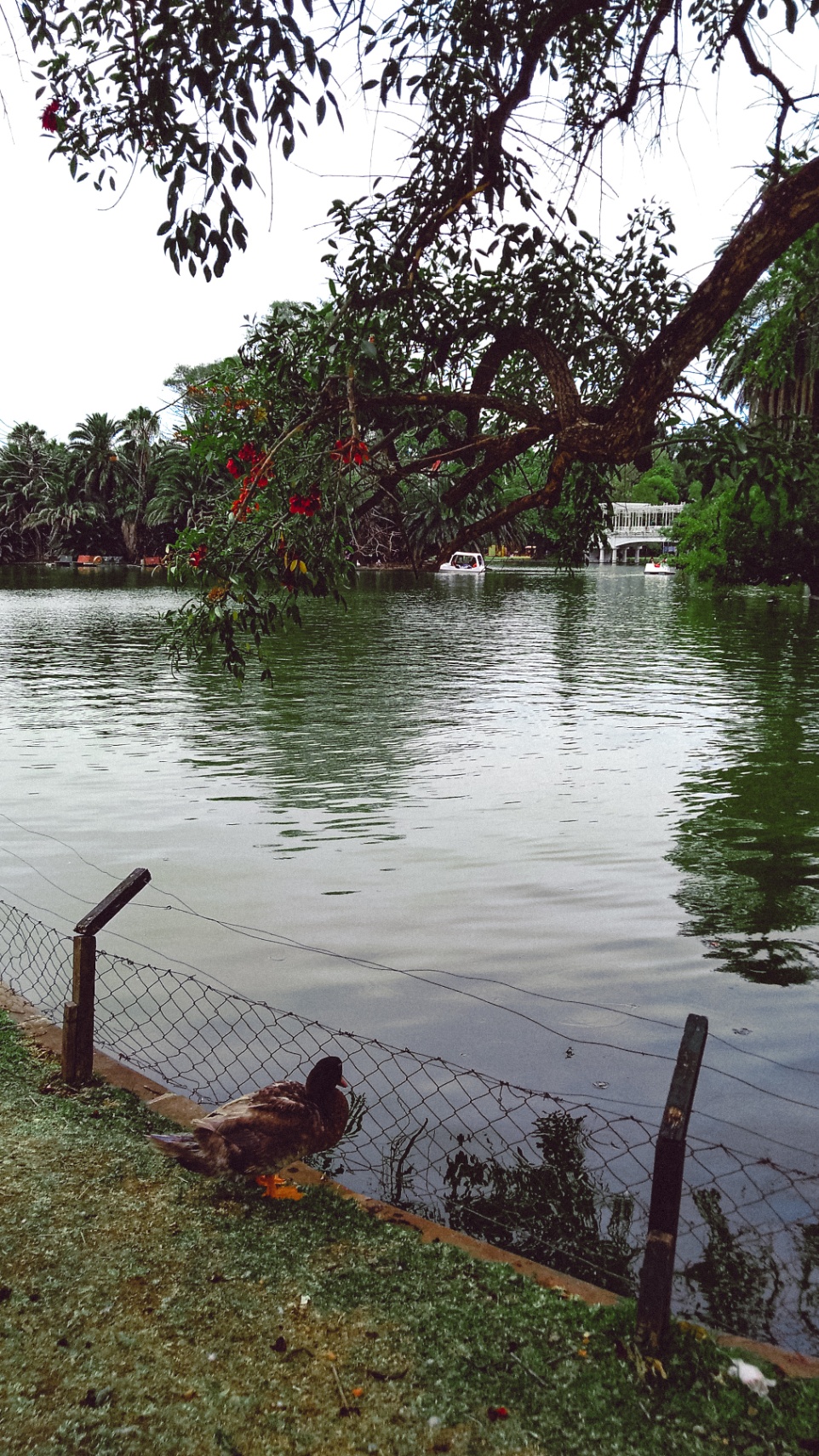 Solo una columna de apoyo, no un hogar completo.