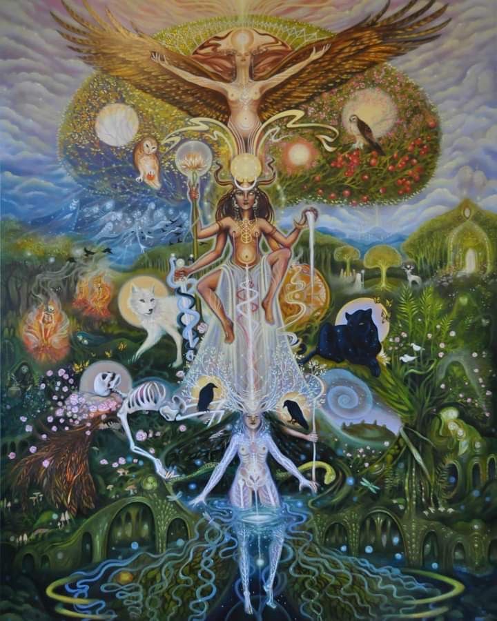 Potencial salvaje 