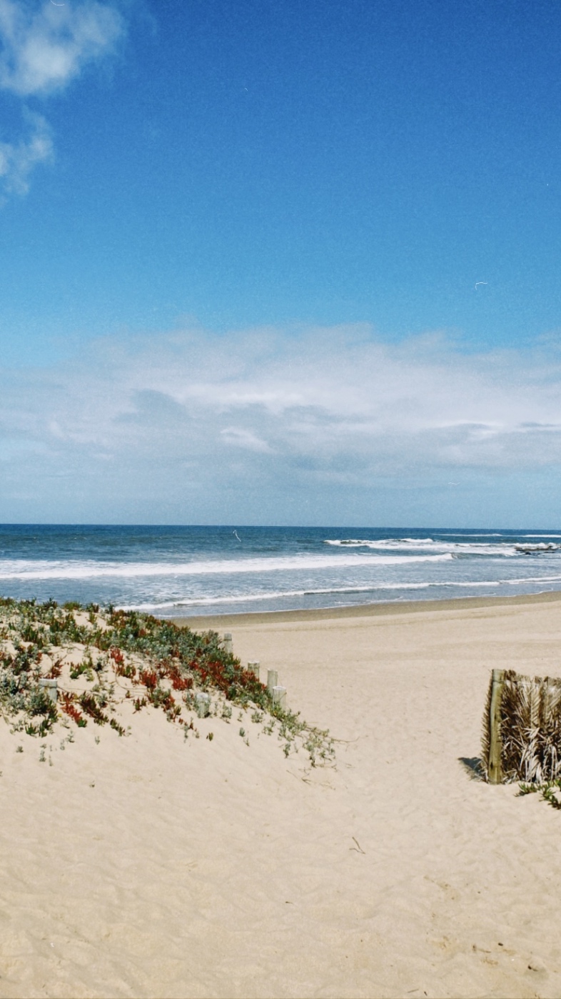 Milagros Safons cover img