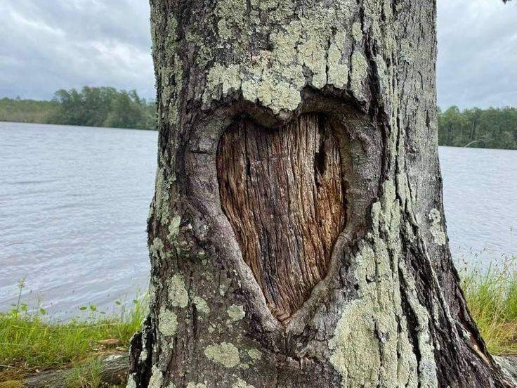 una vez le secuestraron el corazón 