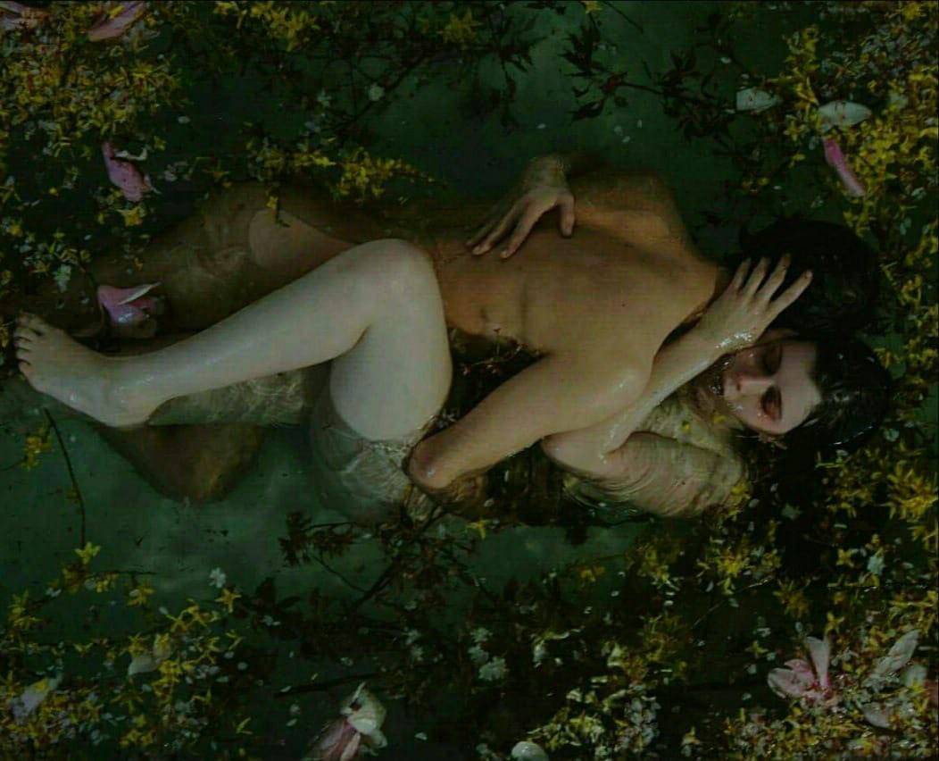 Curiosidades reveladas