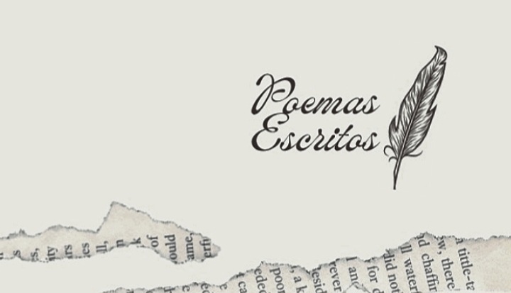 Emilse Cerda cover img
