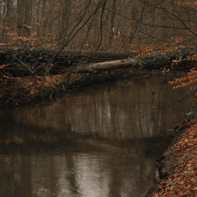 Se atrasó el otoño 