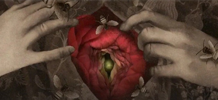 A FLOR DE PIEL (GRAFÉS II)