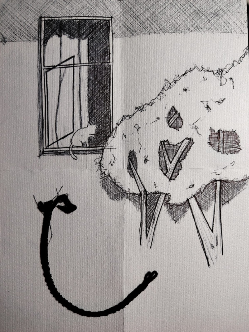 - El gato en la ventana -