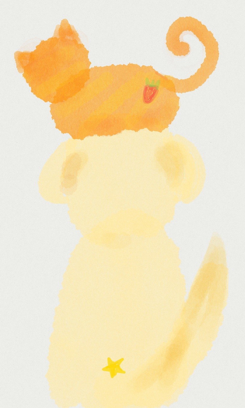 mi michito 