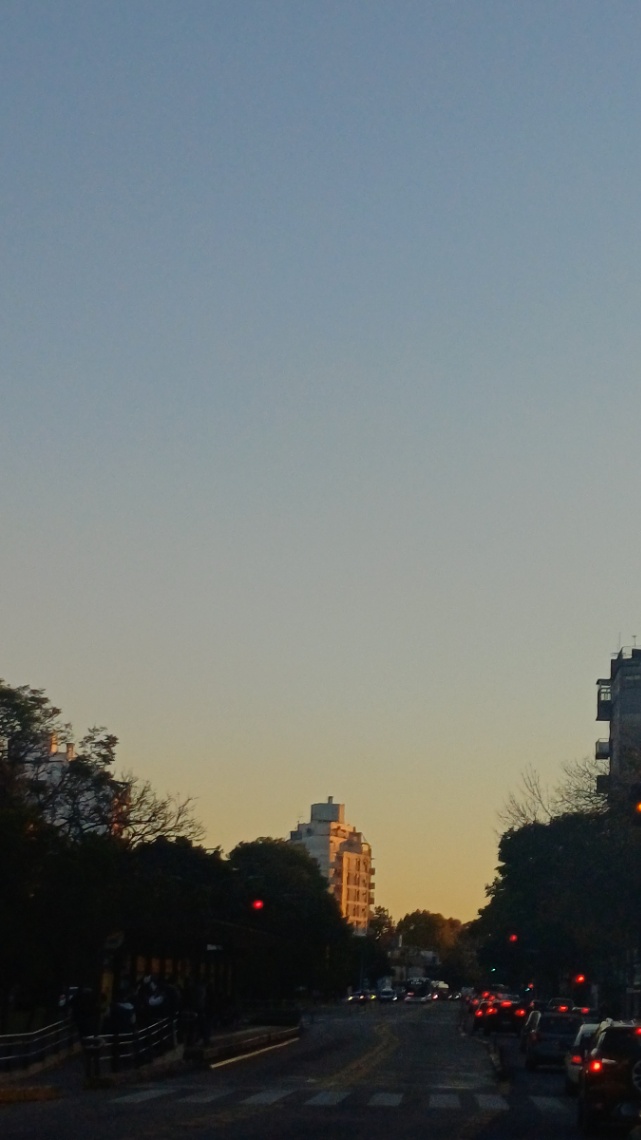 profile img Aiel profile img