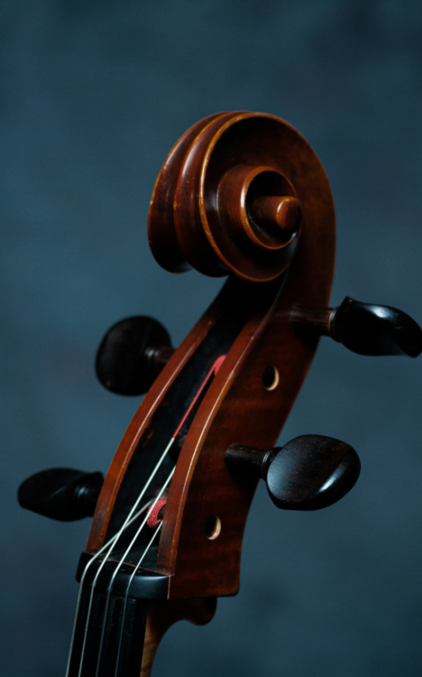 Luthier