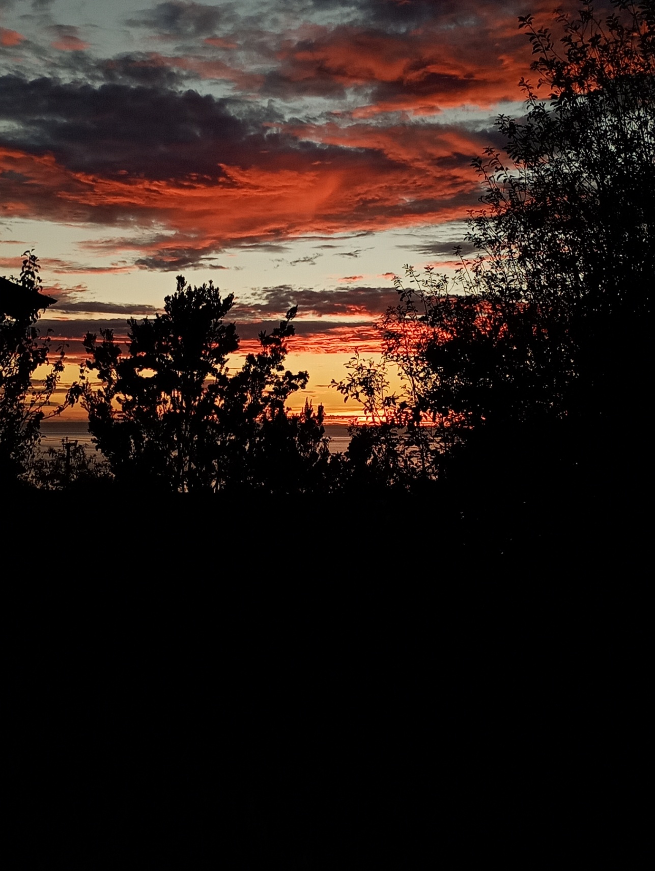 Aún intento olvidarte