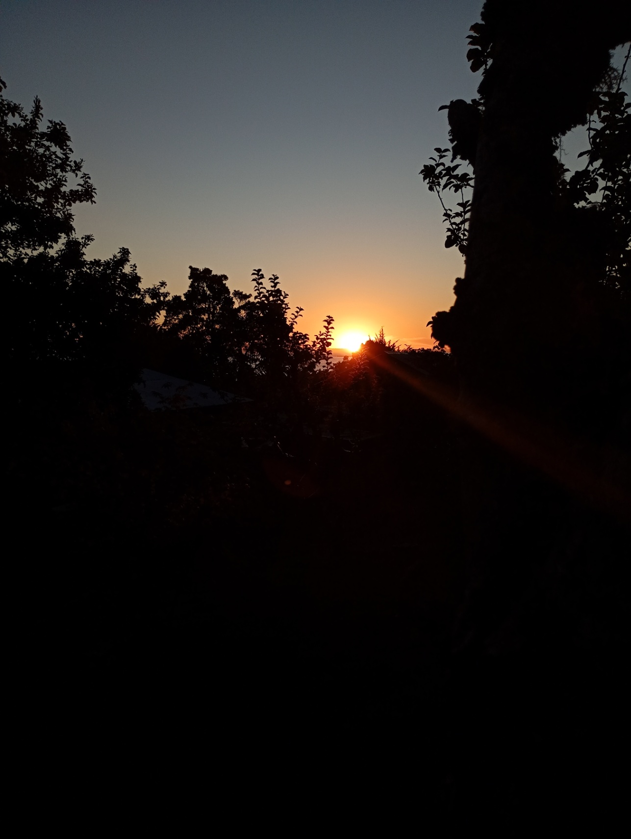 Lo que nos obligaron a callar