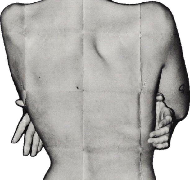 cuerpo. 