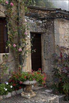 Maribel Guevara Guevara  cover img