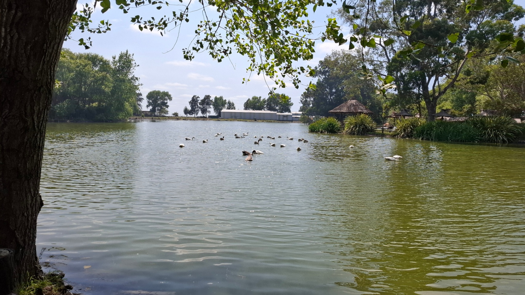 Te llevo a todos lados