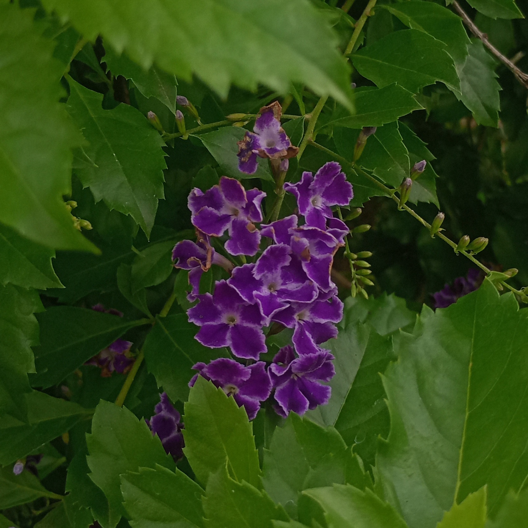 lo que siempre estuvo