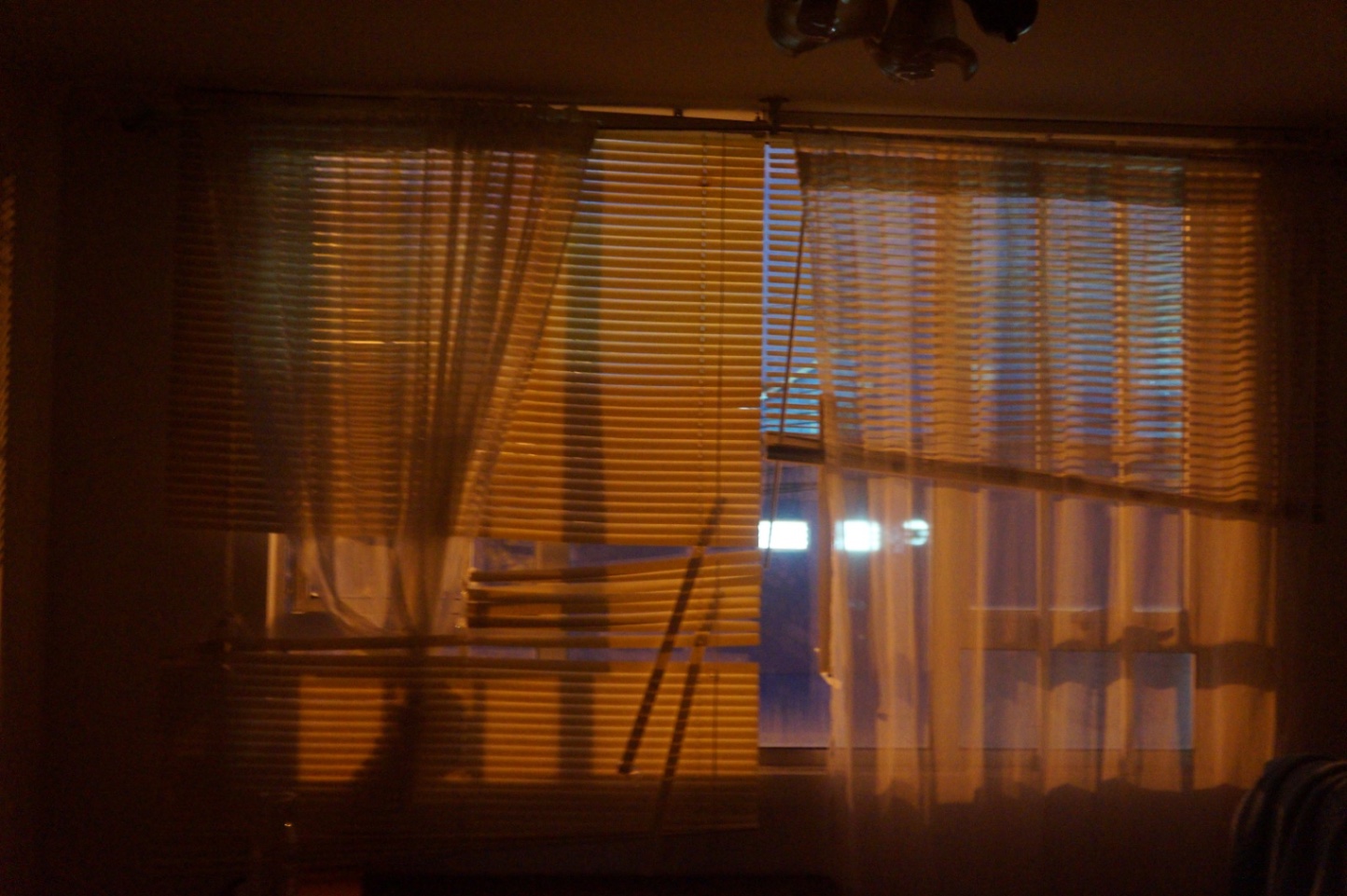 ojos abiertos a la niebla