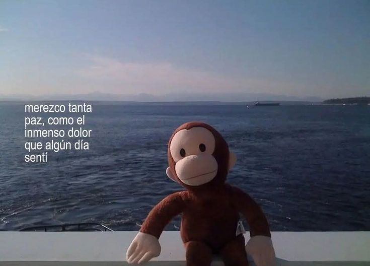 Resilencia 