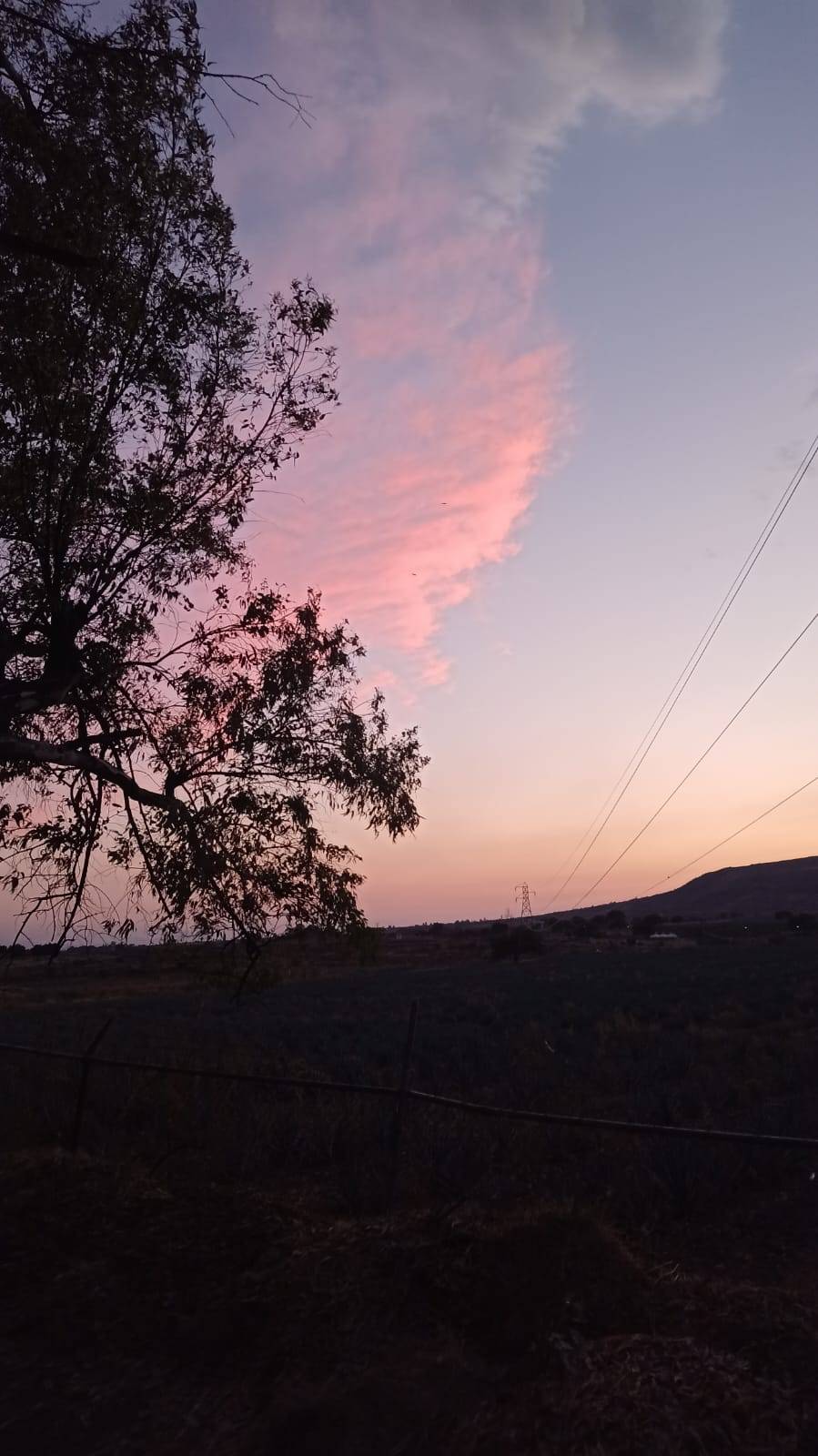 Último ofrecimiento