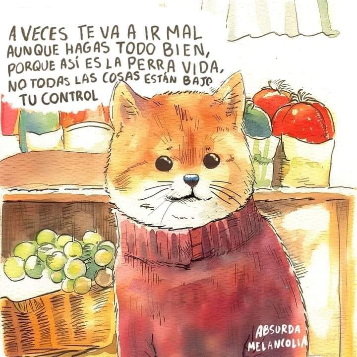Amor, dolor, superación. 