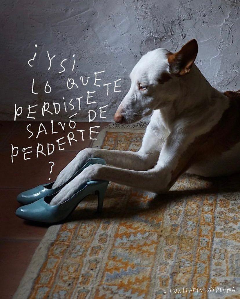 Mejor arder