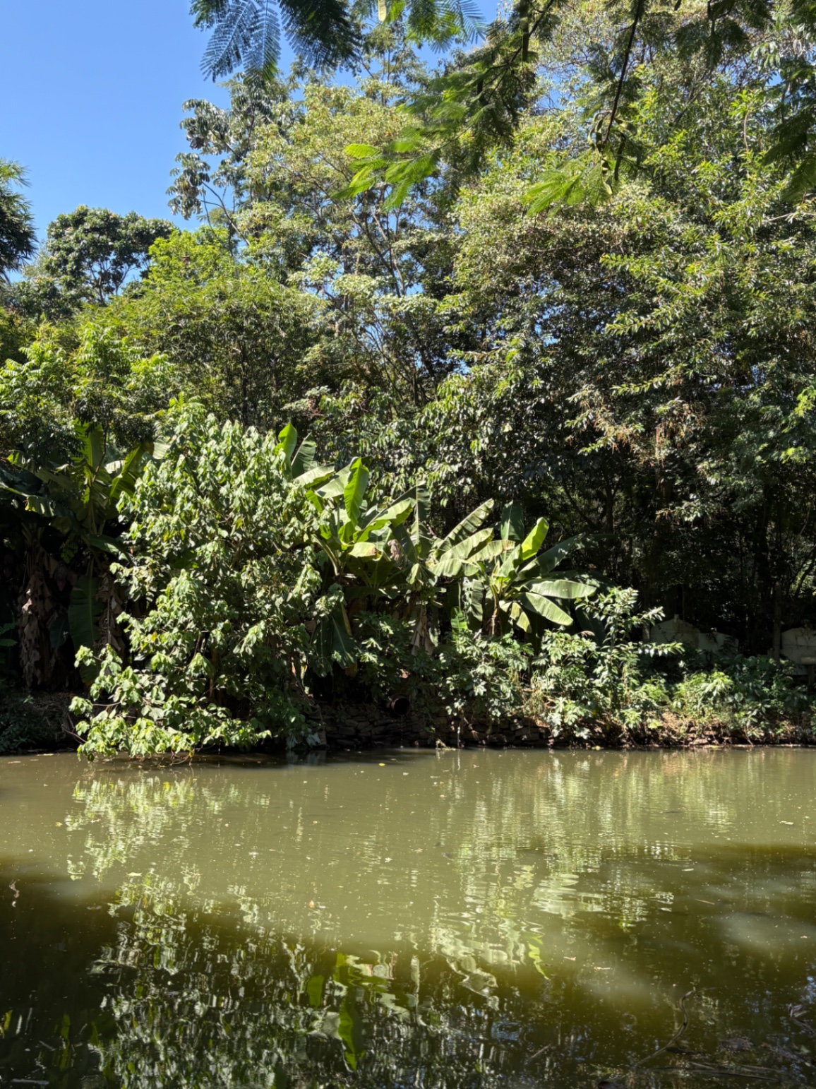 oque não ficou 