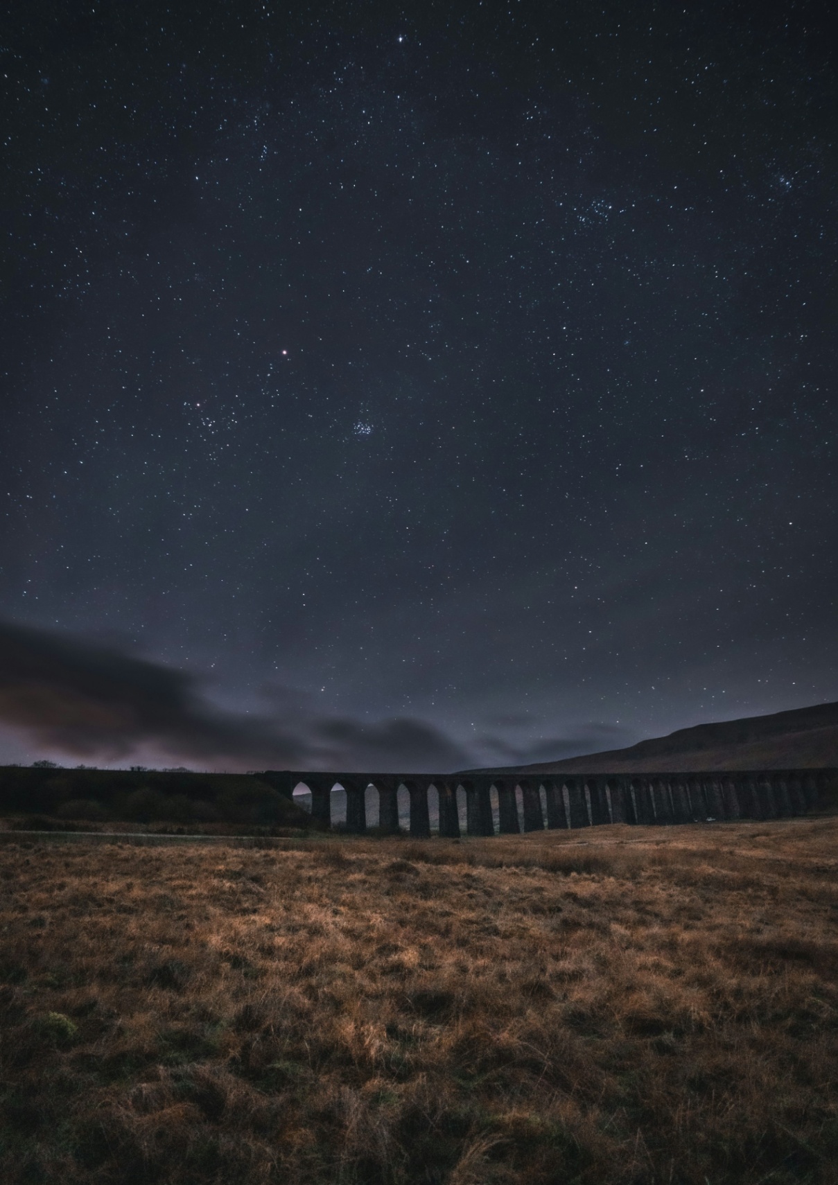 El tren y la nada