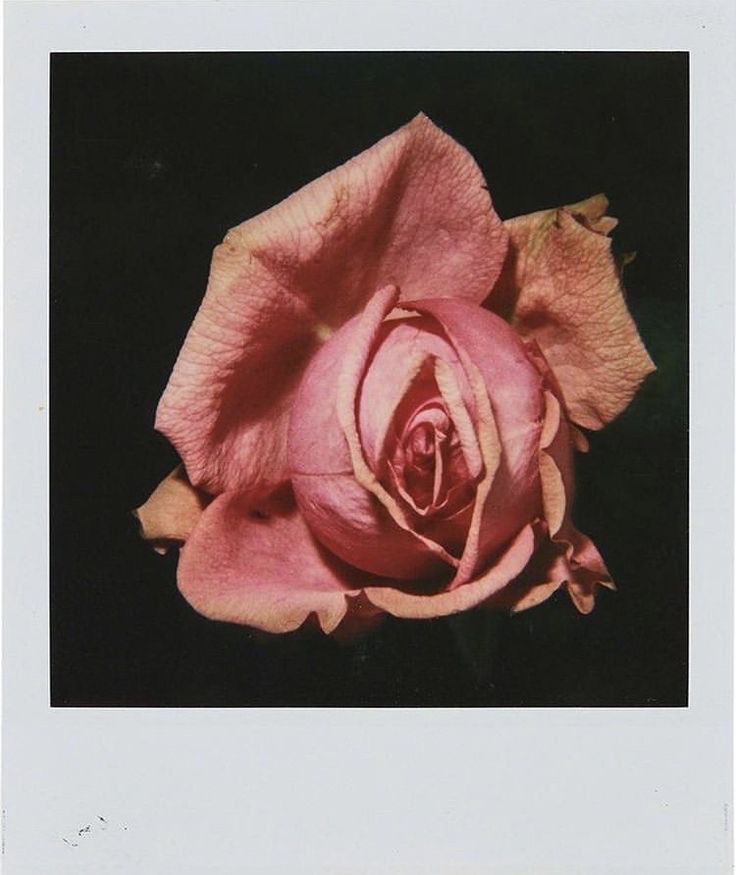 TERMINA DE MORDERME.