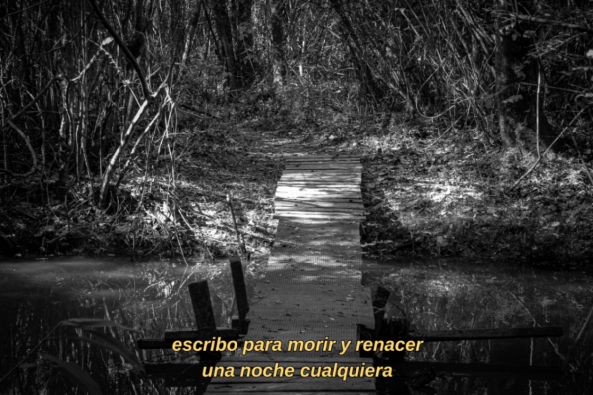 memoria selectiva 